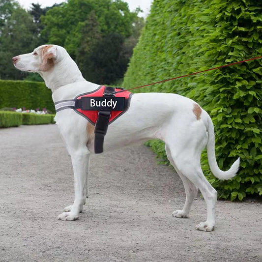 Personalized Reflective Dog Harness with Custom Patch