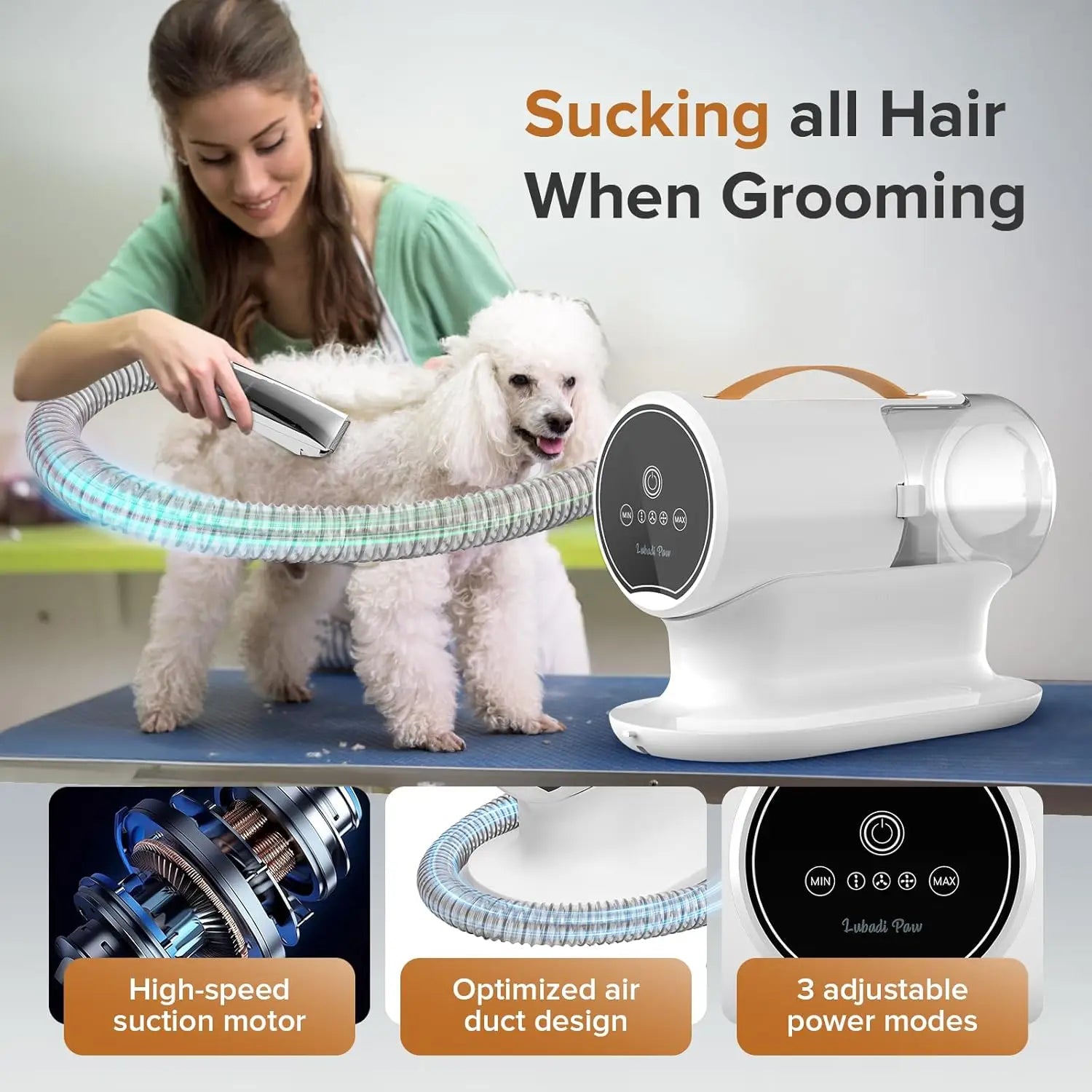 12000Pa Dog Grooming Vacuum: 2L Kit with Low Noise & 5 Tools